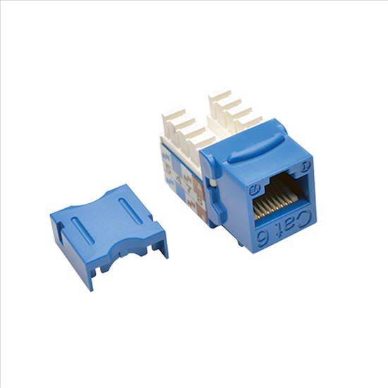 Tripp Lite N238-001-BL socket-outlet RJ-45 Blue1