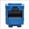 Tripp Lite N238-001-BL socket-outlet RJ-45 Blue2