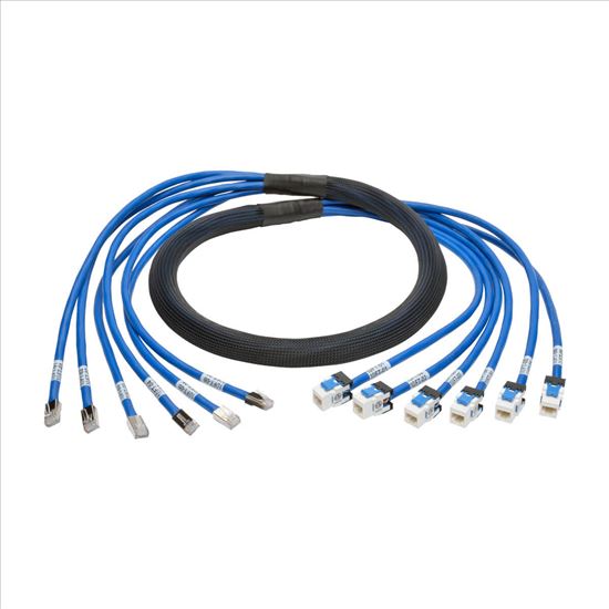 Tripp Lite Cat6/Cat6a, 10ft networking cable Blue 120.1" (3.05 m)1