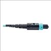 Tripp Lite N844-03M-12-P fiber optic cable 120.1" (3.05 m) MTP OM3 Black, Turquoise2