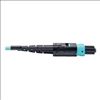 Tripp Lite N844-05M-12-P fiber optic cable 192.1" (4.88 m) MTP OM3 Black, Turquoise2