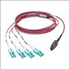 Tripp Lite N845-01M-8L-MG fiber optic cable 39.4" (1 m) MPO/MTP 8x LC OM4 Black, Magenta, Turquoise3