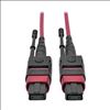 Tripp Lite N845-03M-12-MG fiber optic cable 118.1" (3 m) MPO/MTP CMP OM4 Magenta1