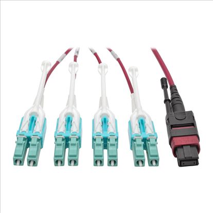 Tripp Lite N845-03M-8L-MG fiber optic cable 118.1" (3 m) MPO/MTP 8x LC CMP OM4 Black, Magenta, Turquoise1