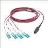 Tripp Lite N845-03M-8L-MG fiber optic cable 118.1" (3 m) MPO/MTP 8x LC CMP OM4 Black, Magenta, Turquoise3