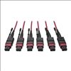 Tripp Lite N858-11M-3X8-MG fiber optic cable 433.1" (11 m) MTP OM4 Black, Magenta1