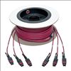 Tripp Lite N858-11M-3X8-MG fiber optic cable 433.1" (11 m) MTP OM4 Black, Magenta4