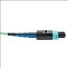 Tripp Lite N846-05M-24-P fiber optic cable 192.1" (4.88 m) MTP OM3 Black, Turquoise2