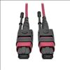 Tripp Lite N845-01M-12-MG fiber optic cable 39.4" (1 m) MPO/MTP CMP OM4 Black, Magenta1