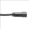 Tripp Lite P005-010 power cable Black 120.1" (3.05 m) C14 coupler C13 coupler3