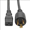 Tripp Lite P040-010 power cable Black 120.1" (3.05 m) C19 coupler NEMA L6-20P1