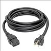 Tripp Lite P049-010 power cable Black 120.1" (3.05 m) C19 coupler NEMA 5-20P2