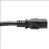 Tripp Lite P049-010 power cable Black 120.1" (3.05 m) C19 coupler NEMA 5-20P4