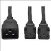 Tripp Lite P032-002-2C13 power cable Black 24" (0.61 m) C13 coupler C20 coupler1