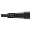Tripp Lite P032-002-2C13 power cable Black 24" (0.61 m) C13 coupler C20 coupler5