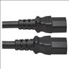Tripp Lite P032-002-2C13 power cable Black 24" (0.61 m) C13 coupler C20 coupler7