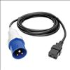 Tripp Lite P070-010 power cable2