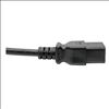 Tripp Lite P070-010 power cable4