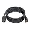 Tripp Lite P006-008-13A power cable Black 96.1" (2.44 m) NEMA 5-15P C13 coupler2