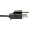 Tripp Lite P013-010 power cable Black 118.1" (3 m) NEMA 5-15P C5 coupler2