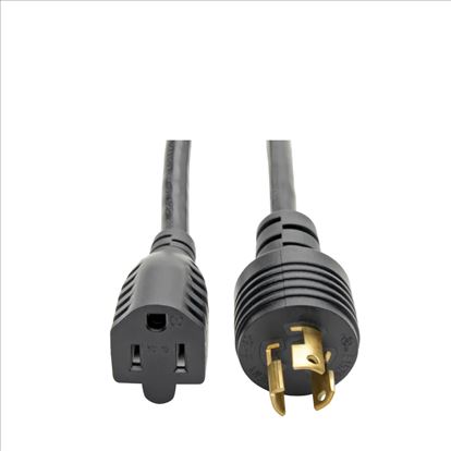 Tripp Lite P025-001 power cable Black 11.8" (0.3 m) NEMA 5-15R NEMA L5-15R1