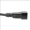 Tripp Lite P036-010-15A power cable Black 118.1" (3 m) C19 coupler C20 coupler3