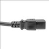 Tripp Lite P036-010-15A power cable Black 118.1" (3 m) C19 coupler C20 coupler4