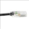 Tripp Lite P006-006-HG13CL power cable Black 72" (1.83 m) NEMA 5-15P C13 coupler4