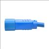 Tripp Lite P004-002-ABL power cable Blue 23.6" (0.6 m) C13 coupler C14 coupler2