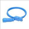 Tripp Lite P004-003-ABL power cable Blue 35.4" (0.9 m) C13 coupler C14 coupler2