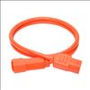 Tripp Lite P004-003-AOR power cable Orange 35.4" (0.9 m) C13 coupler C14 coupler2