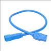 Tripp Lite P005-002-ABL power cable Blue 23.6" (0.6 m) C14 coupler C13 coupler2