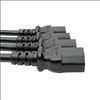 Tripp Lite P004-18N-4XC13 power cable Black 18.1" (0.46 m) C13 coupler C14 coupler4