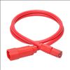 Tripp Lite P018-003-ARD power cable Red 35.4" (0.9 m) C14 coupler C15 coupler2