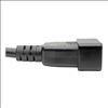 Tripp Lite P036-006 power cable Black 72" (1.83 m) C19 coupler C20 coupler5