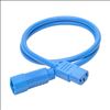 Tripp Lite P005-003-ABL power cable Blue 35.4" (0.9 m) C14 coupler C13 coupler2