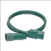 Tripp Lite P004-003-AGN power cable Green 35.4" (0.9 m) C13 coupler C14 coupler2