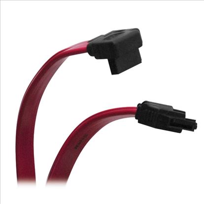 Tripp Lite P941-12I SATA cable 11.8" (0.3 m) SATA 7-pin Red1