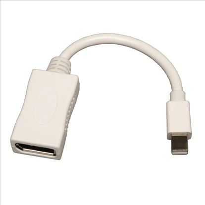 Tripp Lite P139-06N-DP video cable adapter 7.87" (0.2 m) White1