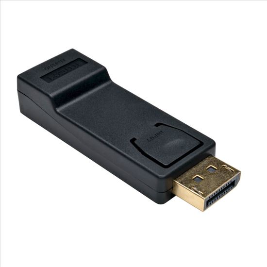 Tripp Lite P136-000-1 cable gender changer DisplayPort HDMI Black1