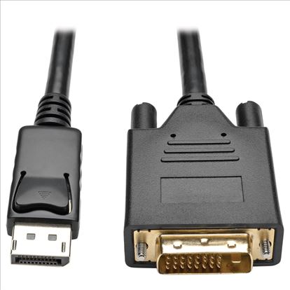 Tripp Lite P581-006-V2 video cable adapter 72" (1.83 m) DisplayPort DVI-D Black1