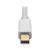 Tripp Lite P137-06N-DVI-DL video cable adapter 5.91" (0.15 m) Mini DisplayPort Silver5