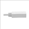 Tripp Lite P139-003-DP-V2B DisplayPort cable 35.4" (0.9 m) Mini DisplayPort White7