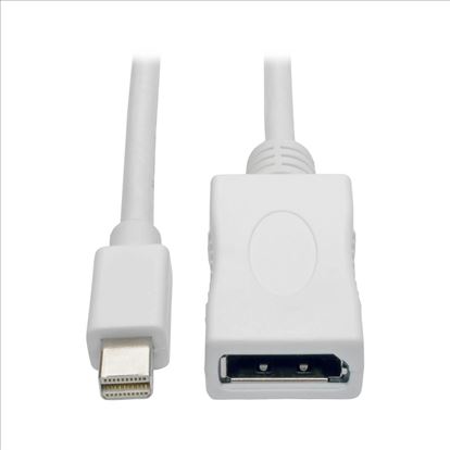 Tripp Lite P139-006-DP-V2B DisplayPort cable 70.9" (1.8 m) Mini DisplayPort White1