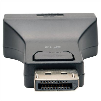 Tripp Lite P134-000-DVI-V2 cable gender changer DisplayPort DVI-I Black1