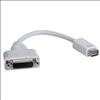 Tripp Lite P138-000-DVI DVI cable 7.87" (0.2 m) Mini-DVI DVI-D White1