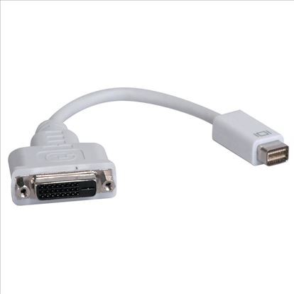 Tripp Lite P138-000-DVI DVI cable 7.87" (0.2 m) Mini-DVI DVI-D White1