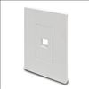 Tripp Lite N080-101 wall plate/switch cover White1