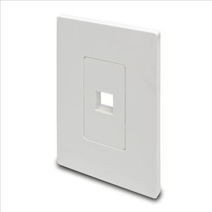 Tripp Lite N080-101 wall plate/switch cover White1