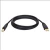 Tripp Lite U022-010 USB cable 120.1" (3.05 m) USB 2.0 USB A USB B Black1